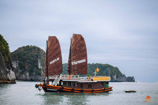 Les Meilleures Jonques Pour Une Croisi Re Dans La Baie De Lan Ha Au Vietnam