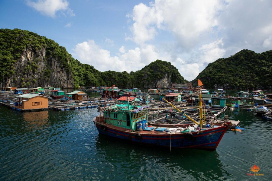Bateau de Pêcheurs dans la Baie de Lan Ha