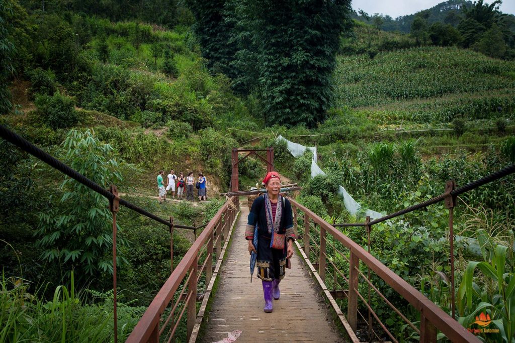 Femme Dao Rouge à Sapa, Vietnam