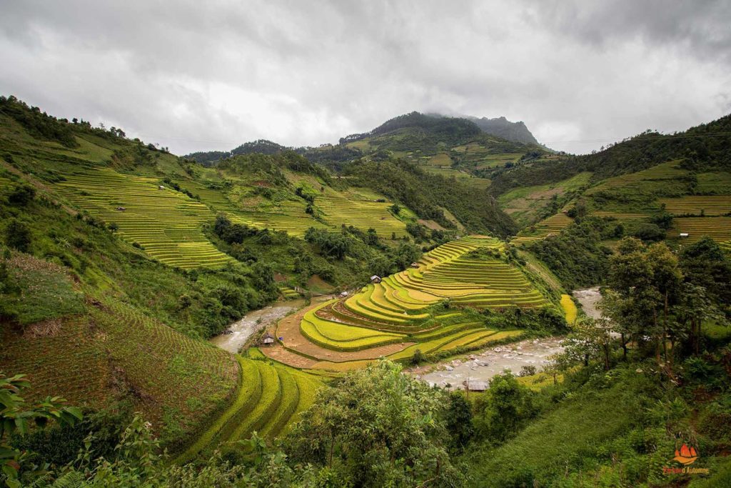 Rizières en terrasse de Mu Cang Chai, Vietnam