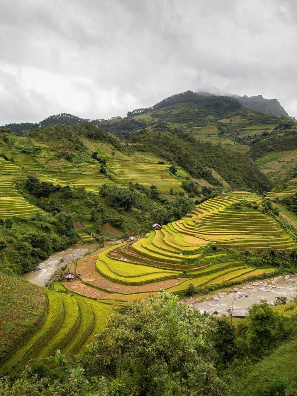 Rizières en terrasse de Mu Cang Chai, Vietnam
