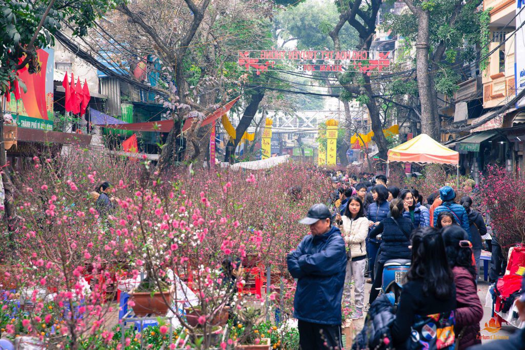 La fleur du pêcher en vente dans les rues de Hanoi, Vietnam