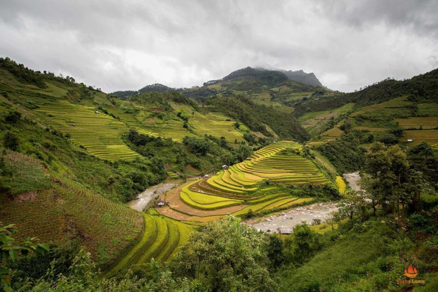 Paysages spectaculaires dans le district de Mu Cang Chai, Vietnam