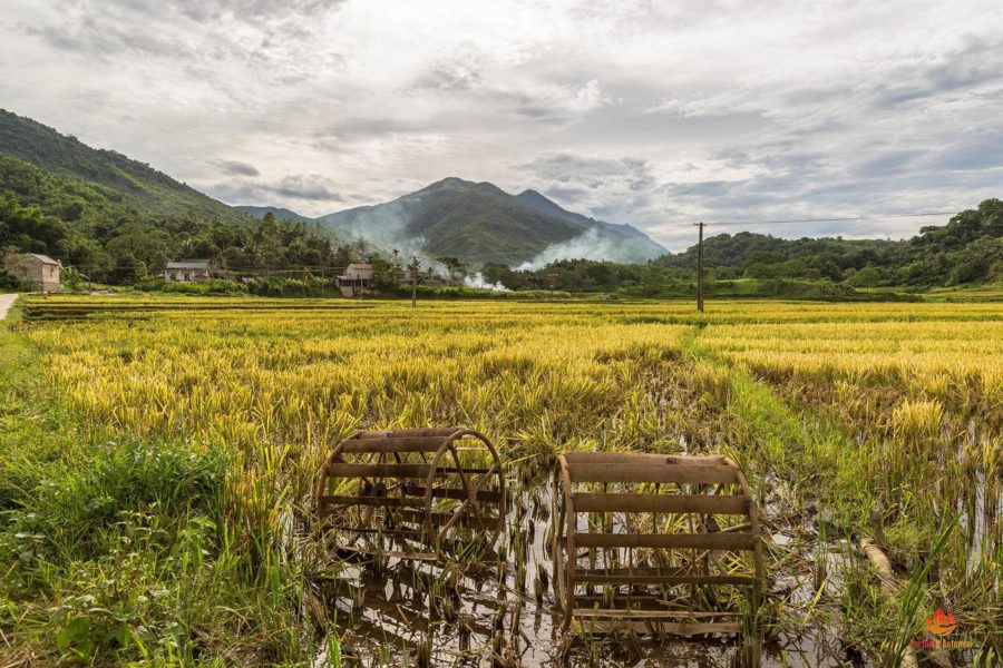 Rizières dans la réserve de Pu Luong, Vietnam