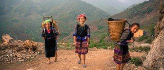 Femmes revenant des champs à Mu Cang Chai, Vietnam