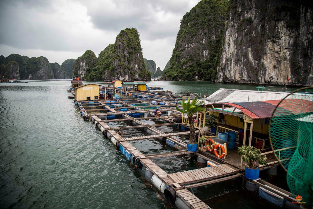 Village flottant dans la Baie de Lan Ha, Vietnam