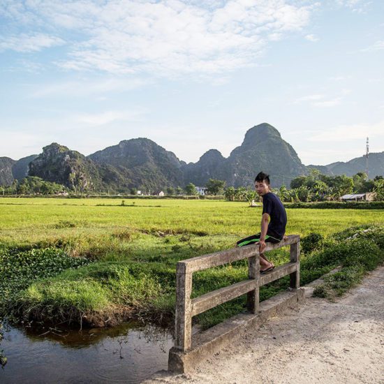 Campagne dans les environs de Tam Coc, Ninh Binh, Vietnam