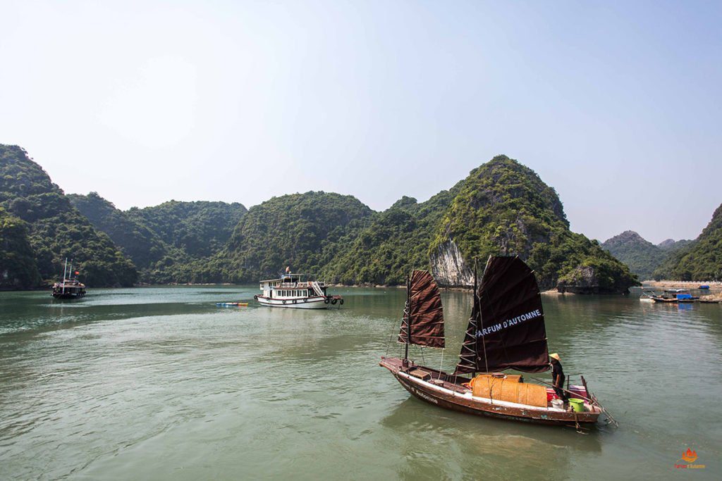 Jonque de pêcheur naviguant dans la Baie de Lan Ha, Vietnam