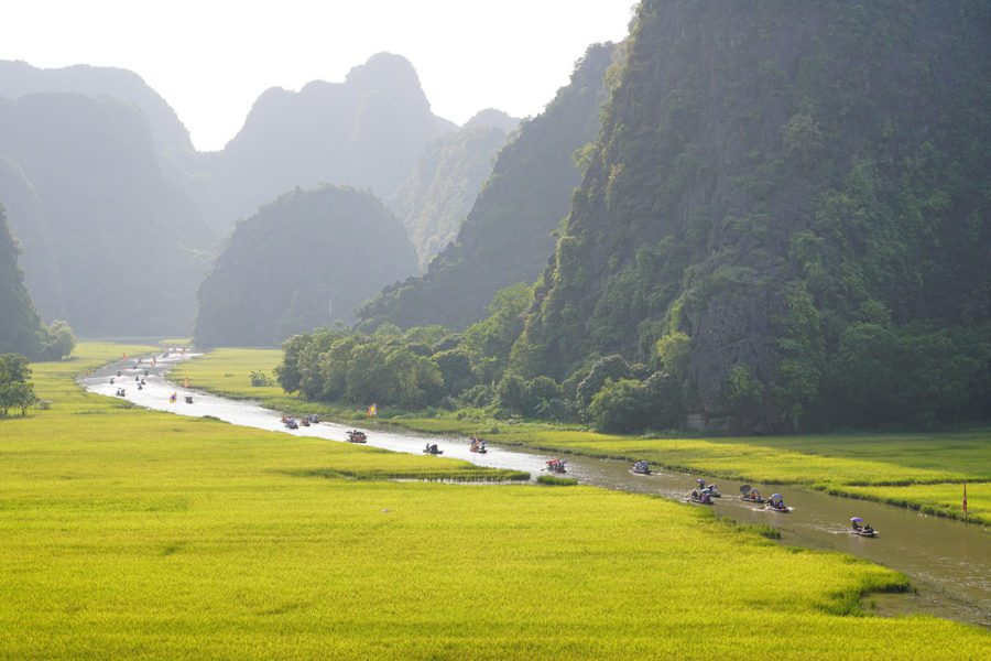 Paysage de Tam Coc avant la récolte du riz, Ninh Binh, Vietnam