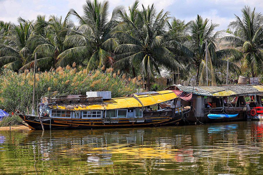 Paysage luxuriant du delta du Mékong, Vietnam