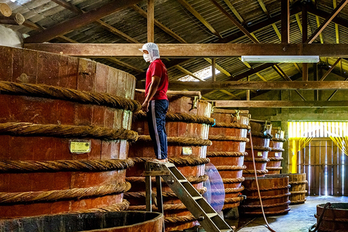 Usine de fabrication de la sauce de poisson, Phu Quoc