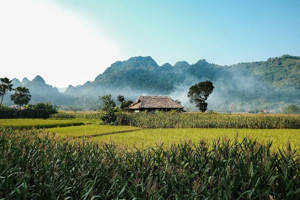 Petite maison dans la vallée de Lam Thuong