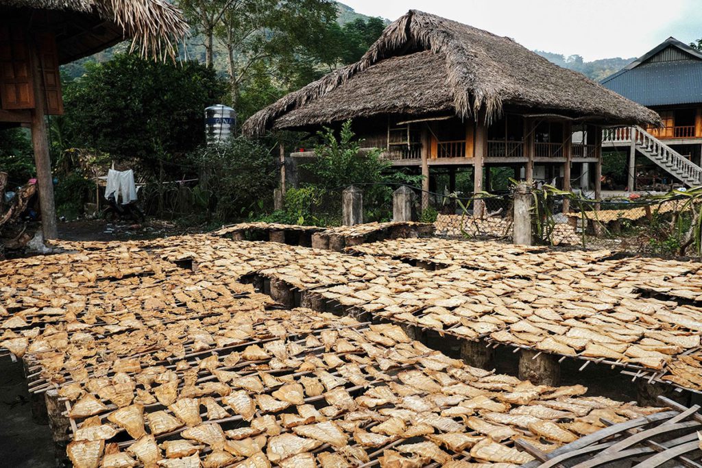 Bambou en train de sécher devant une maison sur pilotis