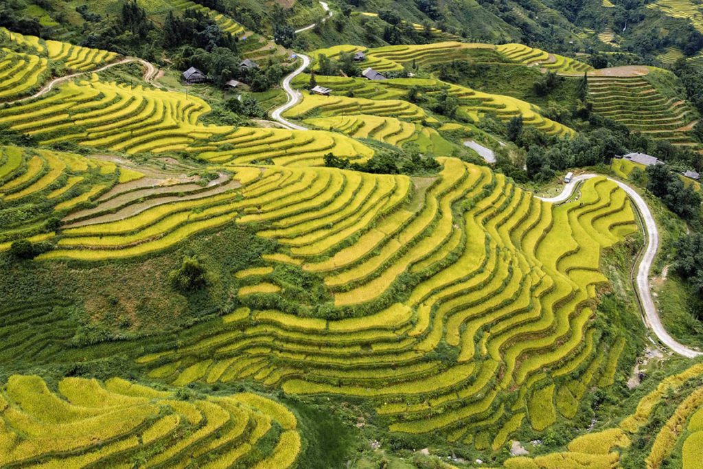 Rizières en terrasses de Hoang Su Phi, Vietnam