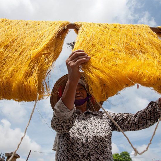 Les fils de soie sèchent au soleil, Vietnam