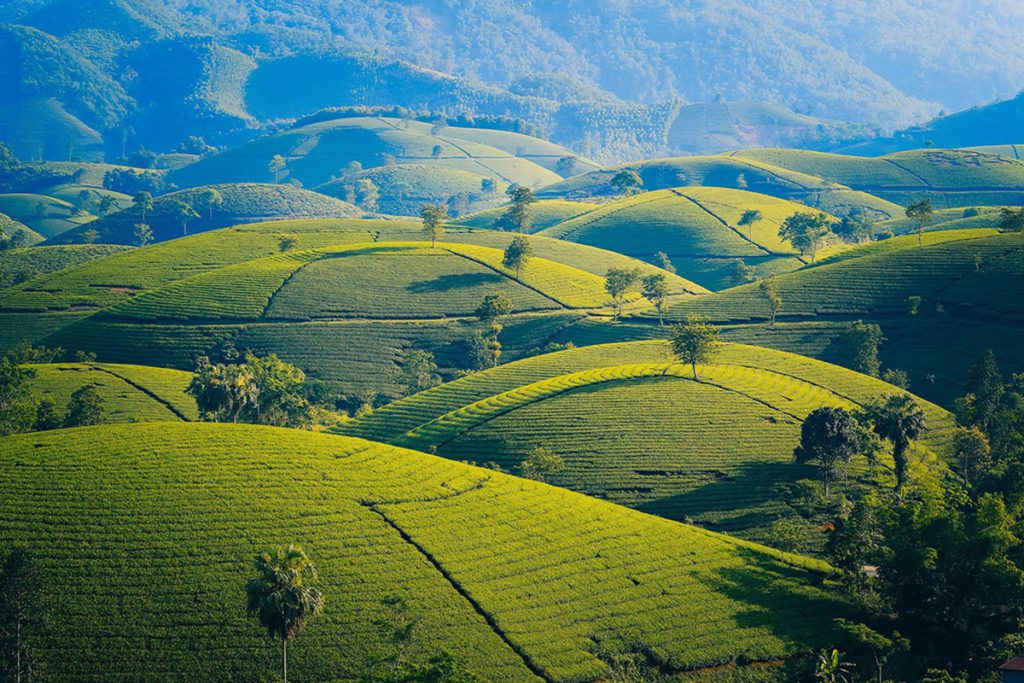 Les collines de Long Co au Vietnam