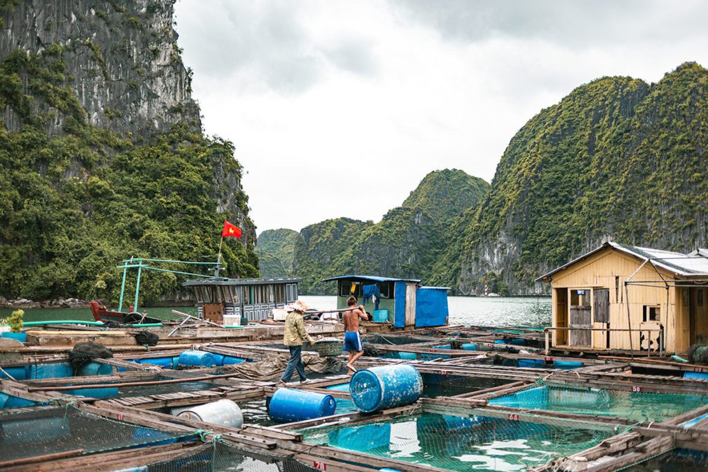 Pêcheurs dans la baie de Lan Ha