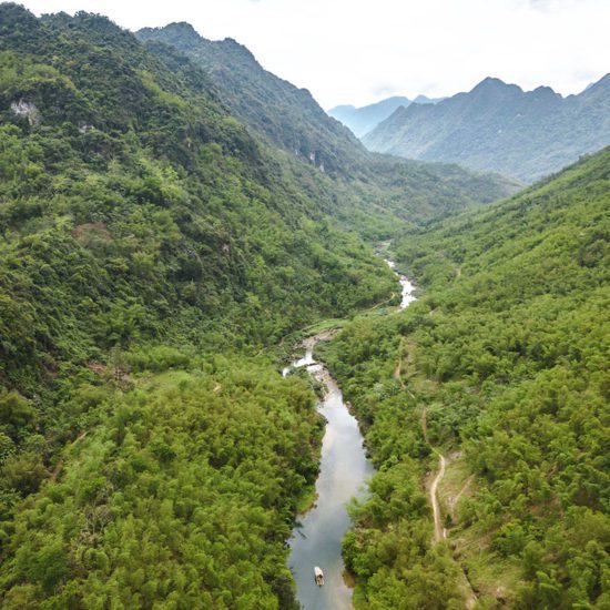 Le couvert forestier de la réserve naturelle de Pu Luong