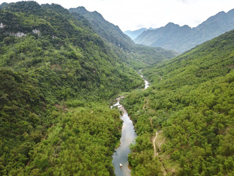 Le couvert forestier de la réserve naturelle de Pu Luong