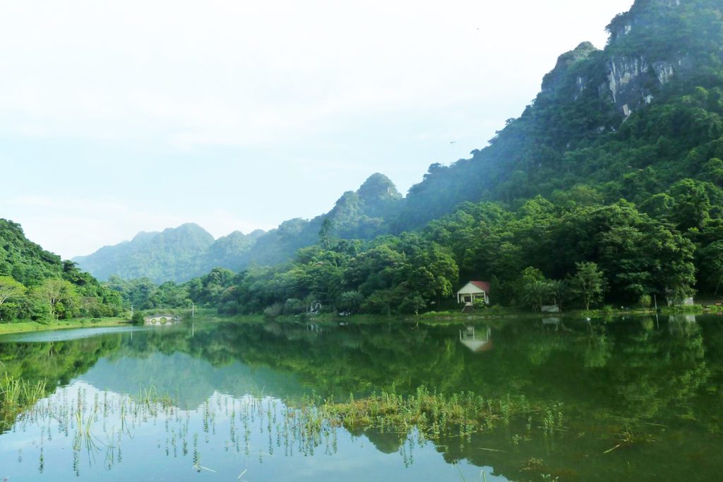 La végétation du parc national de Cuc Phuong au Vietnam