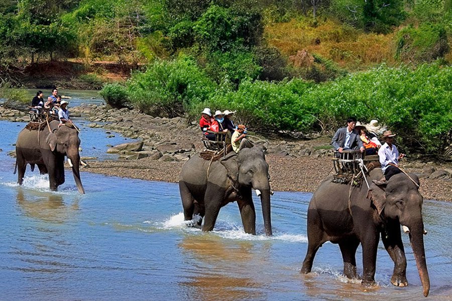 Se balader à dos d'éléphants dans le Parc National de Yok Don