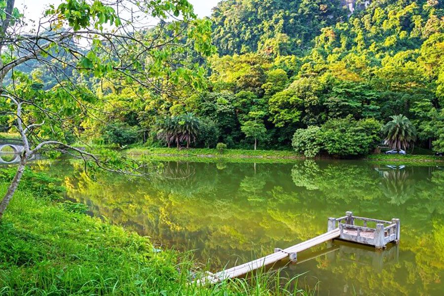 Lac à Cuc Phuong, parc national du Vietnam