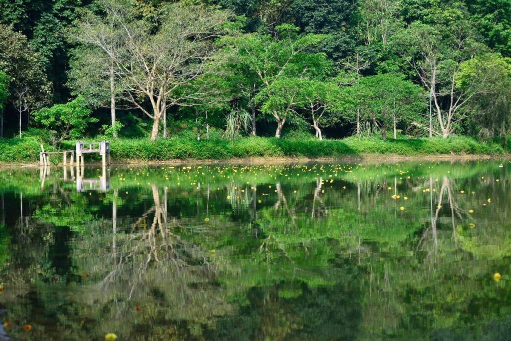 La riche biodiversité de Cuc Phuong, parc national du Vietnam
