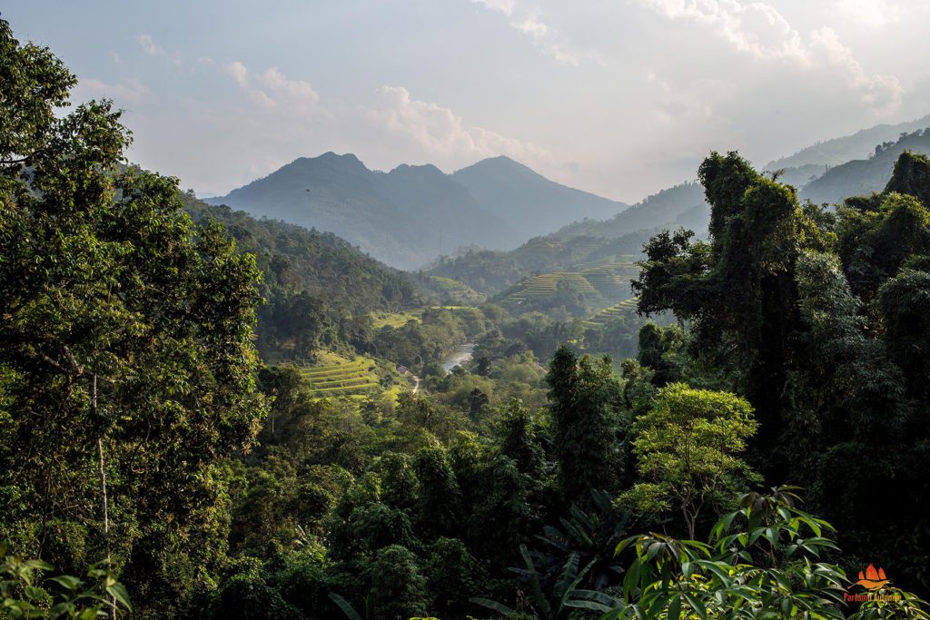 Beautiful landscape in Hoang Su Phi, Vietnam