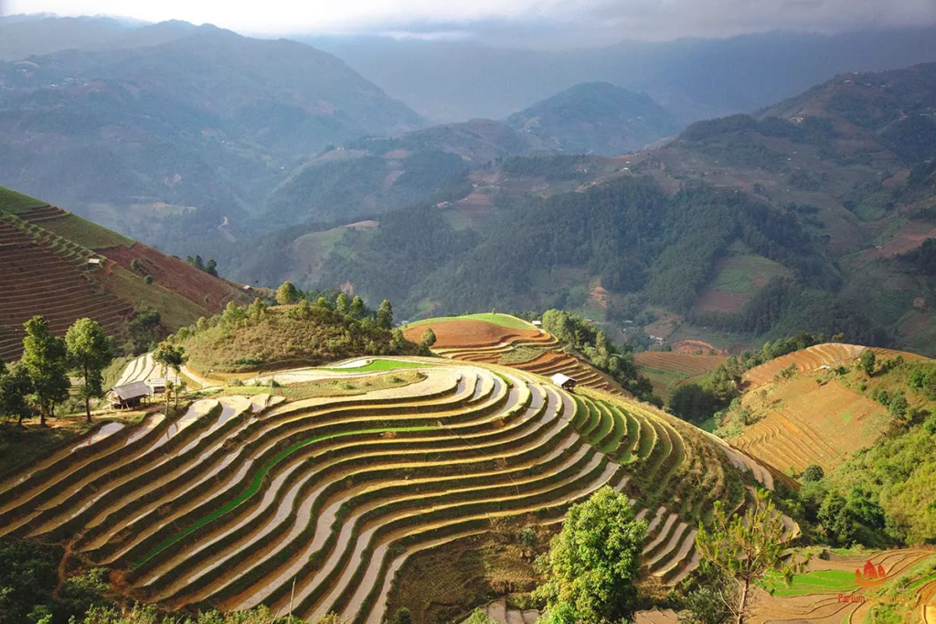 Paysage de Mu Cang Chai au début de la saison des pluies