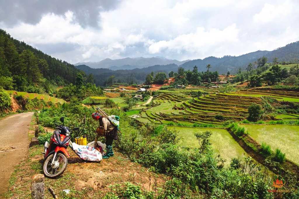 Femme Hmong revenant des rizières à Mu Cang Chai