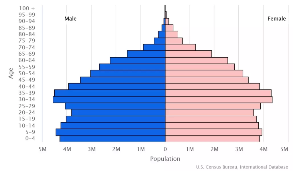 Vietnam population pyramid