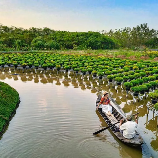 Couple naviguant sur un petit bateau au milieu des plantes d'eau dans le delta du Mékong