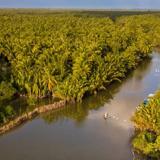 Vue aérienne des canaux à travers la végétation luxuriante du delta du Mékong, à Ben Tre