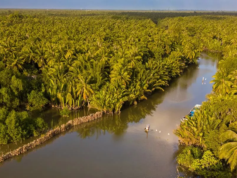 Vue aérienne des canaux à travers la végétation luxuriante du delta du Mékong, à Ben Tre