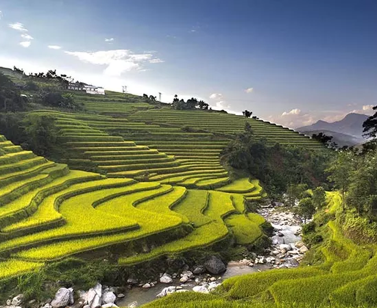 Les magnifiques rizières en terrasse de Hoang Su Phi pendant l'été