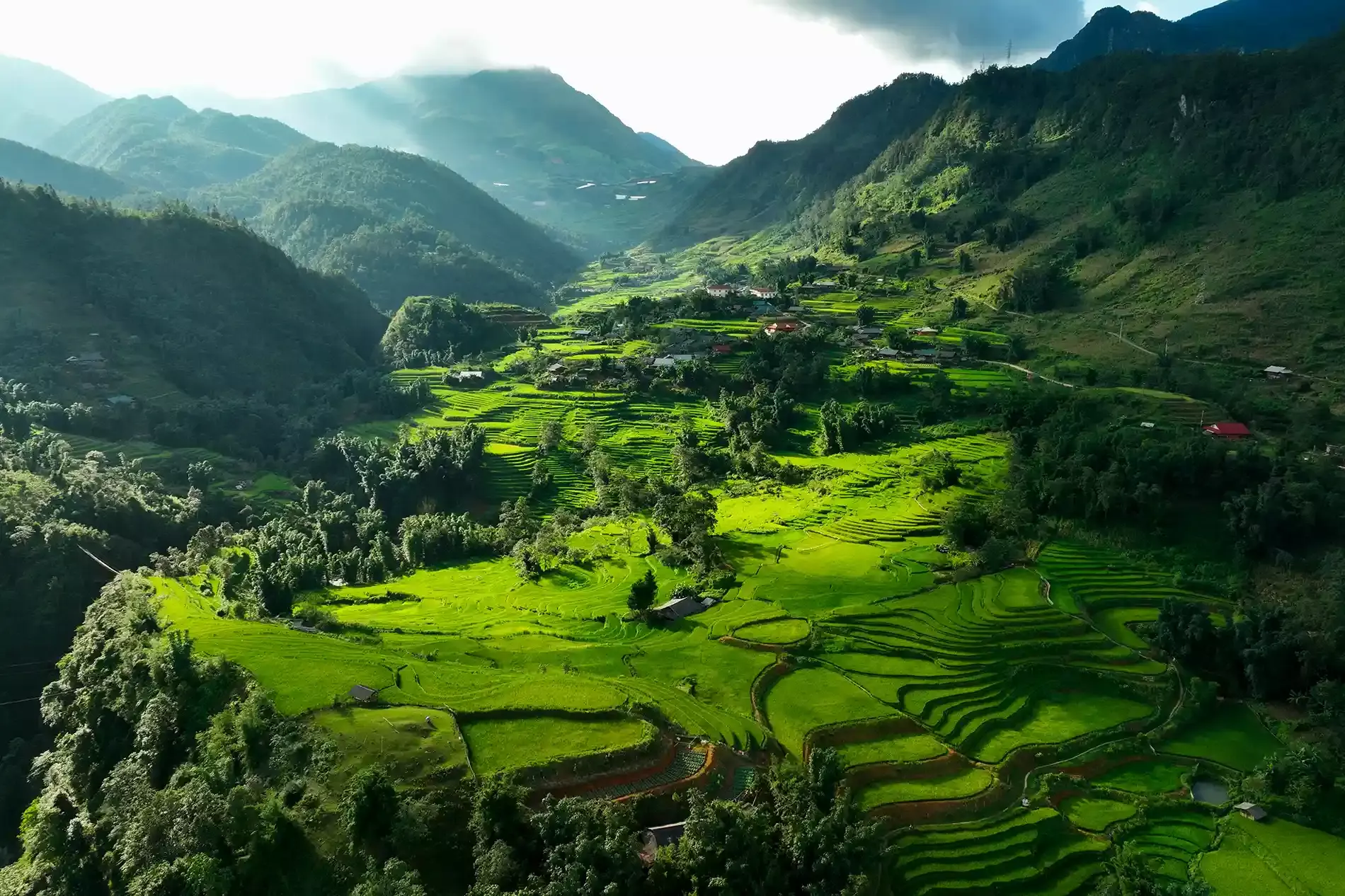 Magnifique paysage de rizières vertes dans le nord vietnam montagneux