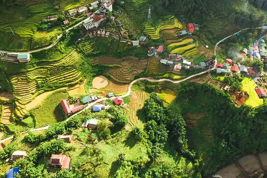 Rizières de Sapa vues du ciel