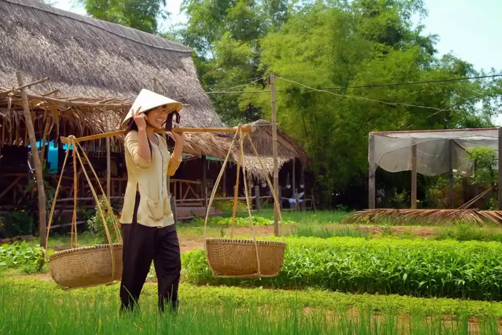 Jardins de Tra Que, Hoi An